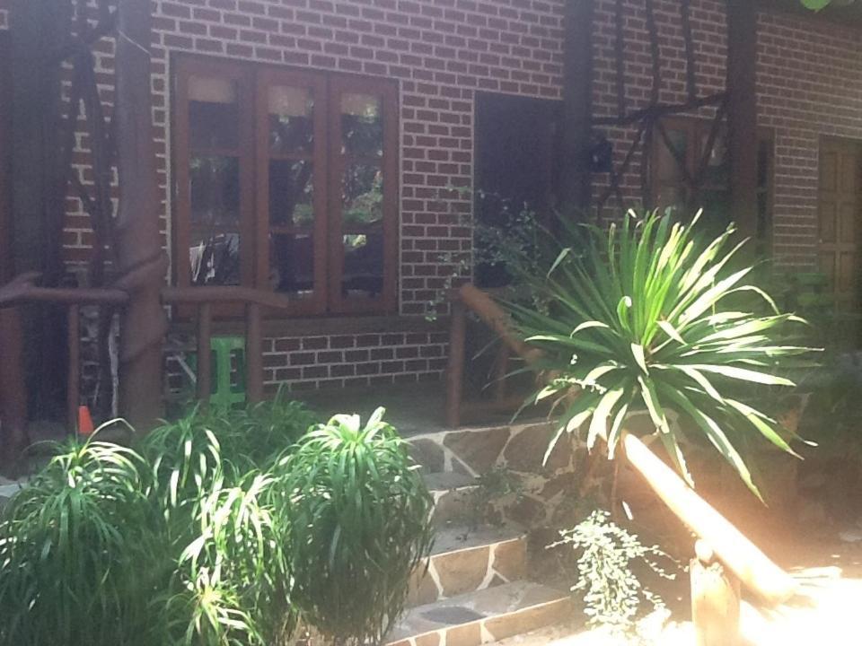 Peach Guesthouse Haad Rin Dış mekan fotoğraf